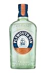 Plymouth Dry Ginebra Premium - 700ml